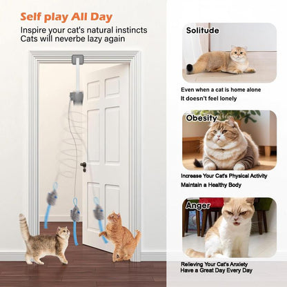Aloria™ Electric Cat Teaser