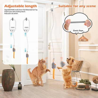 Aloria™ Electric Cat Teaser